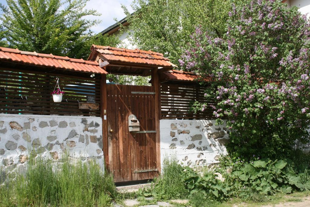 Guest House Kamenik 야고디나 외부 사진