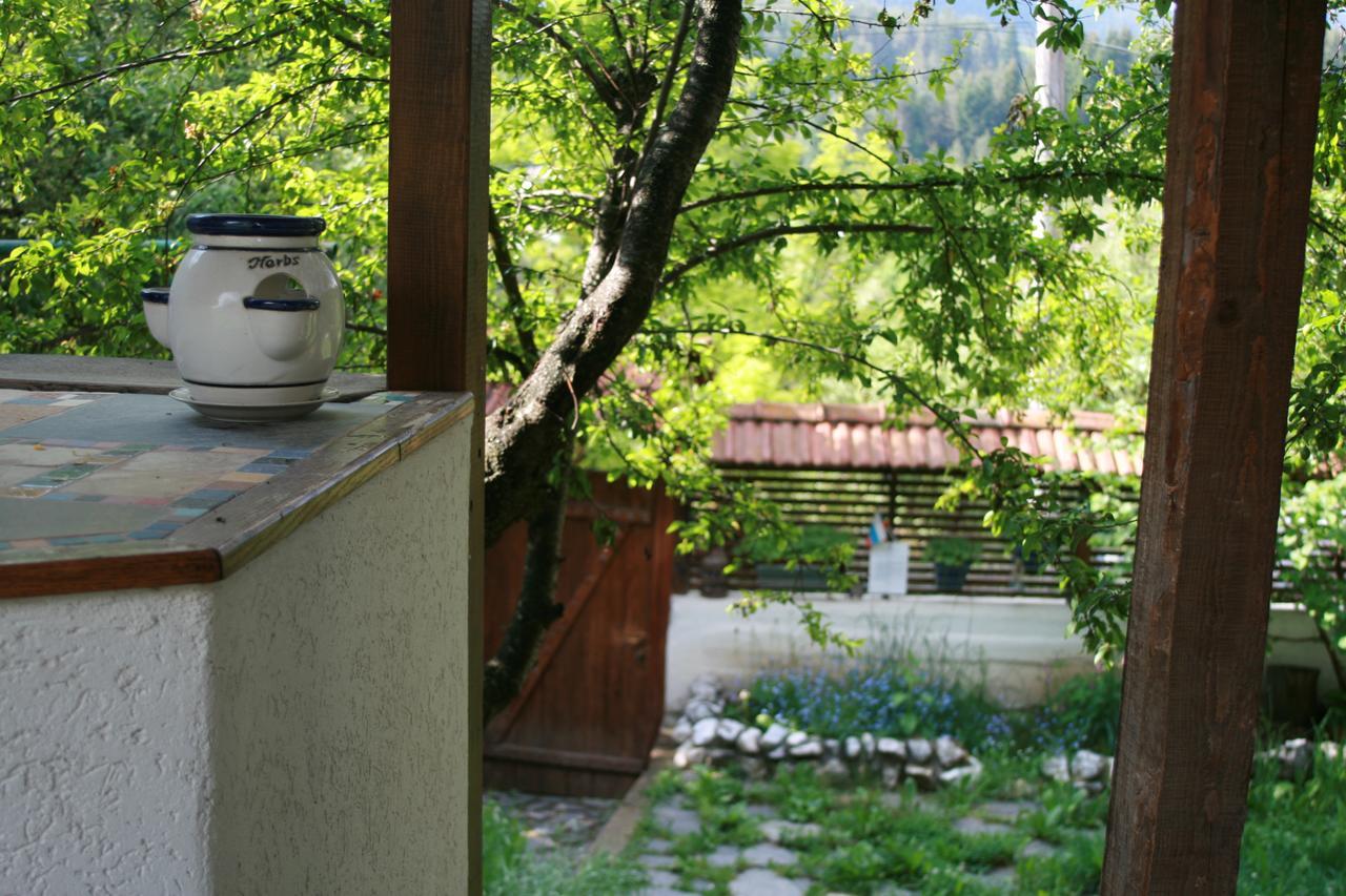 Guest House Kamenik 야고디나 외부 사진