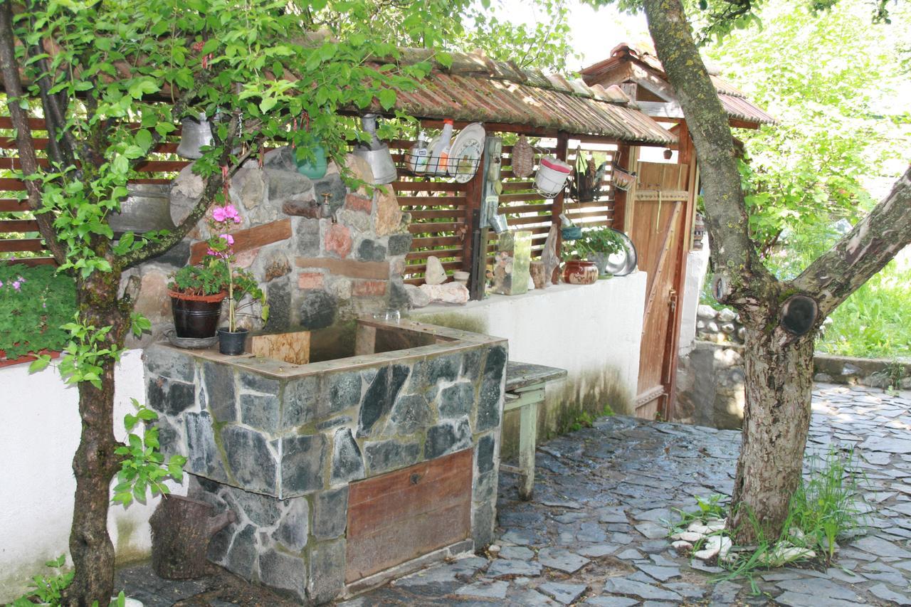 Guest House Kamenik 야고디나 외부 사진